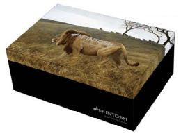 Bateman 'Lions' Mug Pair $17.95