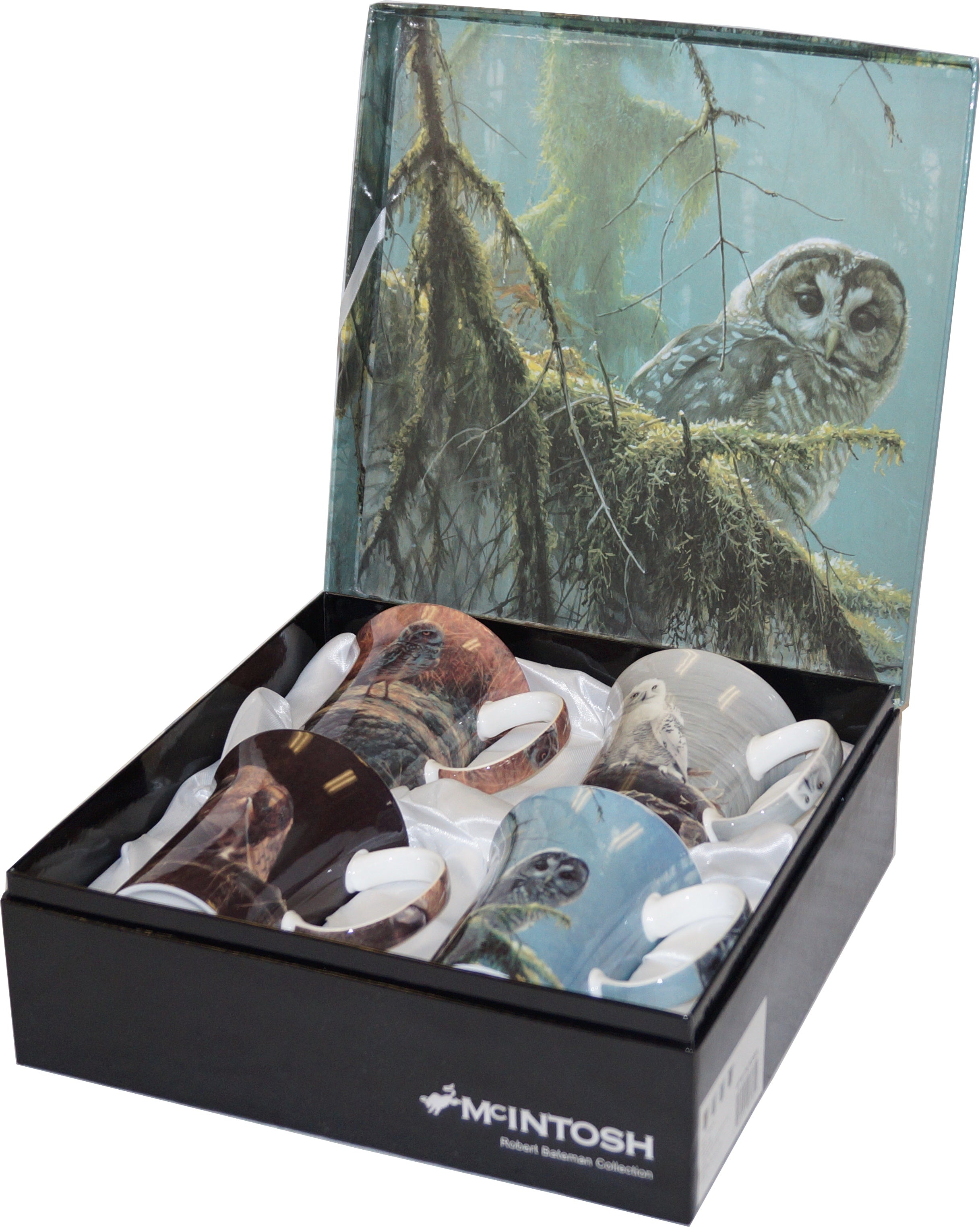 Bateman 'Owls' Set of 4 Mugs